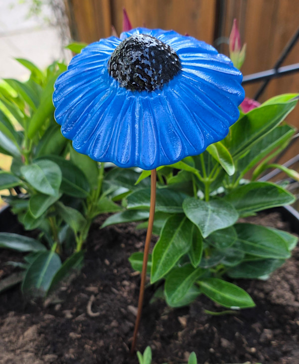 Plant Pick-Coneflower, Large in Blue/Black by Kathy Kollenburn