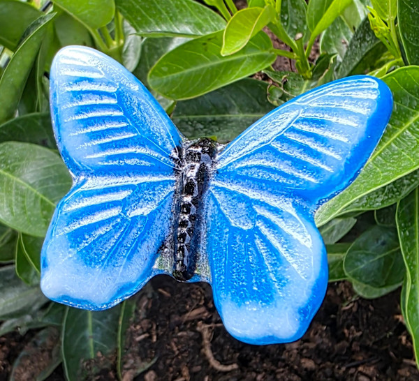 Plant Pick-Butterfly, Small in Cornflower/White by Kathy Kollenburn