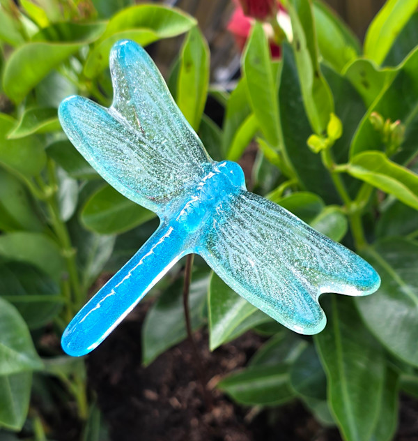 Plant Pick-Dragonfly, Small in Turquoise/Green by Kathy Kollenburn