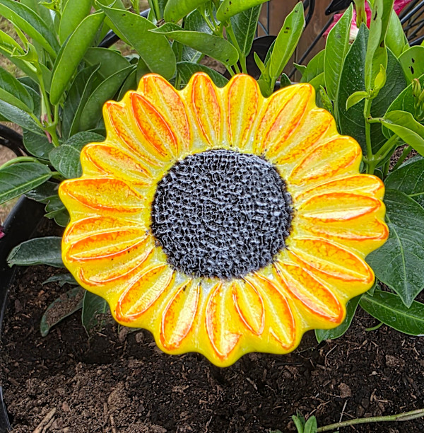 Plant Pick-Golden Sunflower with Orange Accents by Kathy Kollenburn