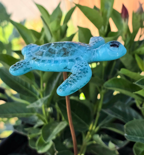 Plant Pick-Baby Sea Turtle in Blues by Kathy Kollenburn