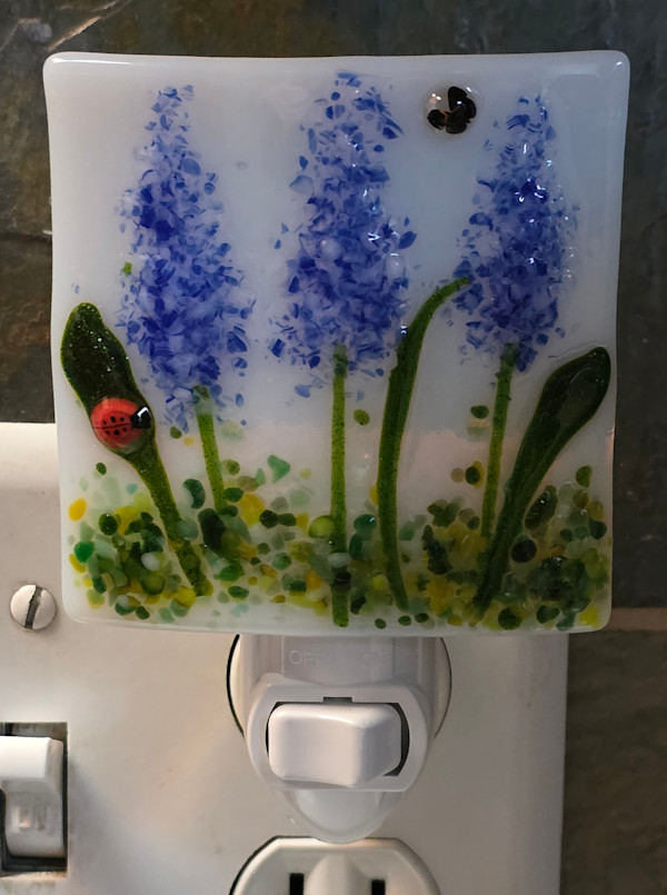 Nightlight-Blue/White Delphiniums by Kathy Kollenburn