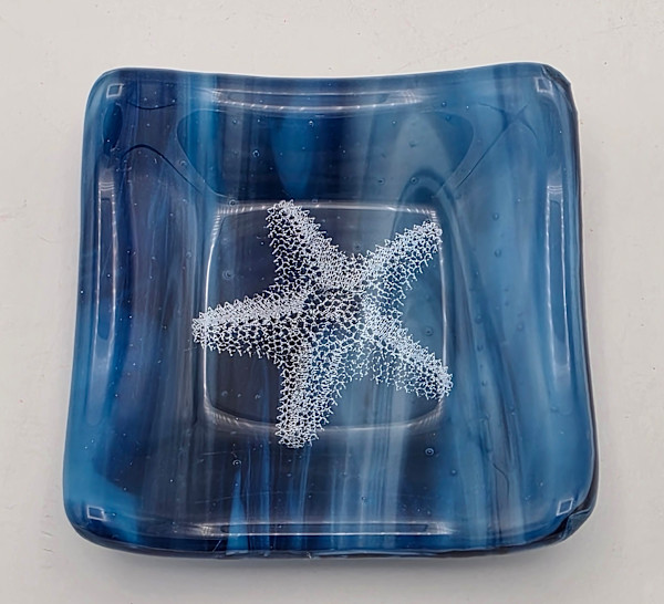 Small Plate-White Starfish on Blue Streaky by Kathy Kollenburn