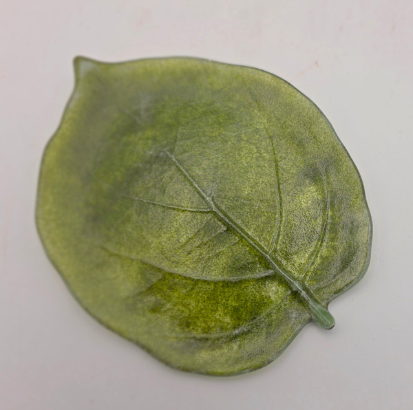 Kiwi Leaf Dish by Kathy Kollenburn