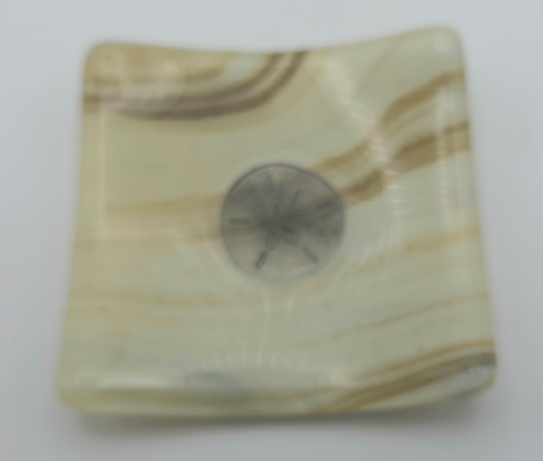 Small Plate-Sand Dollar on Brown/Cream Streaky by Kathy Kollenburn