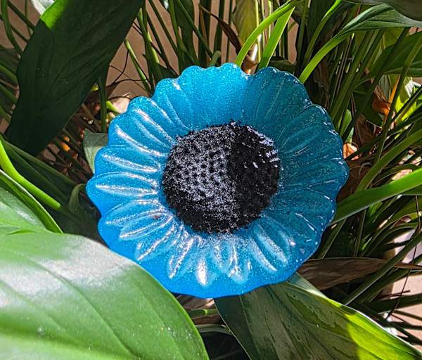 Plant Pick-Turquoise Blue Sunflower by Kathy Kollenburn