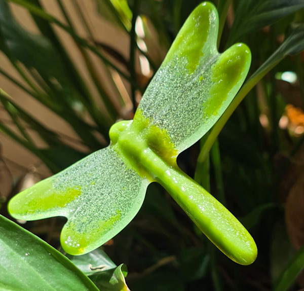 Plant Pick-Dragonfly, Small in Greens by Kathy Kollenburn