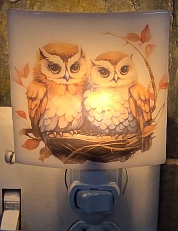 Nightlight-Pair of Owls by Kathy Kollenburn