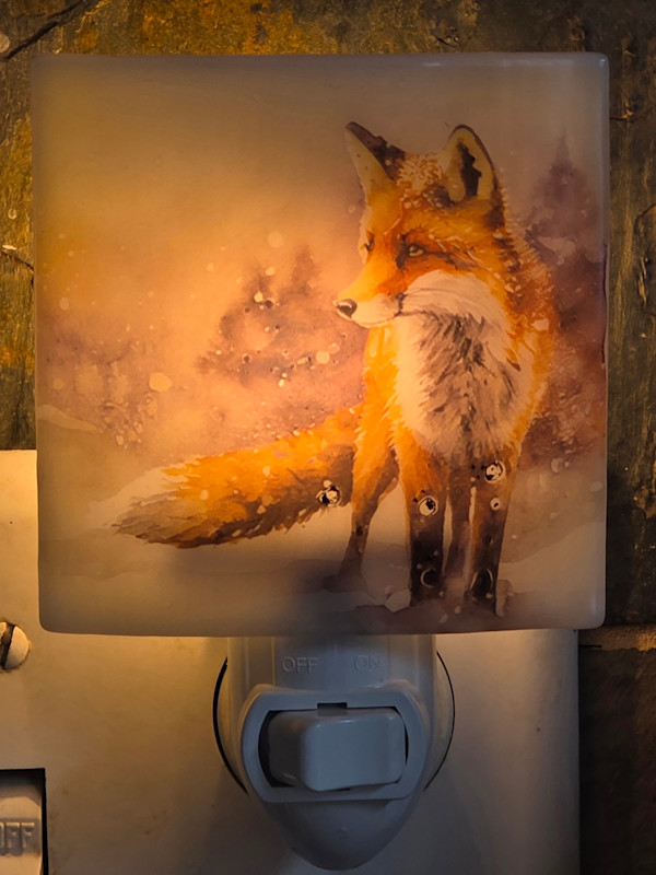 Nightlight-Fox in Forest by Kathy Kollenburn
