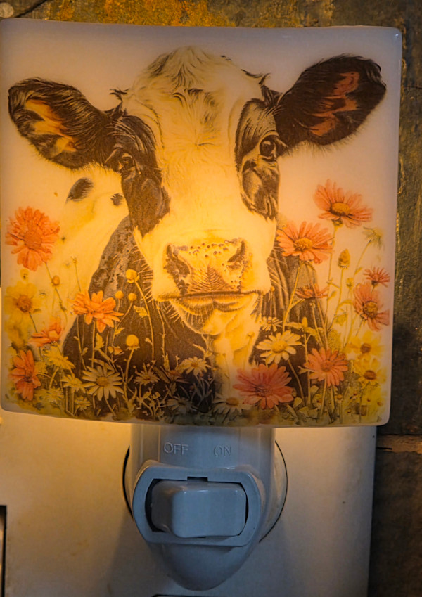 Nightlight-Cow with Flowers by Kathy Kollenburn