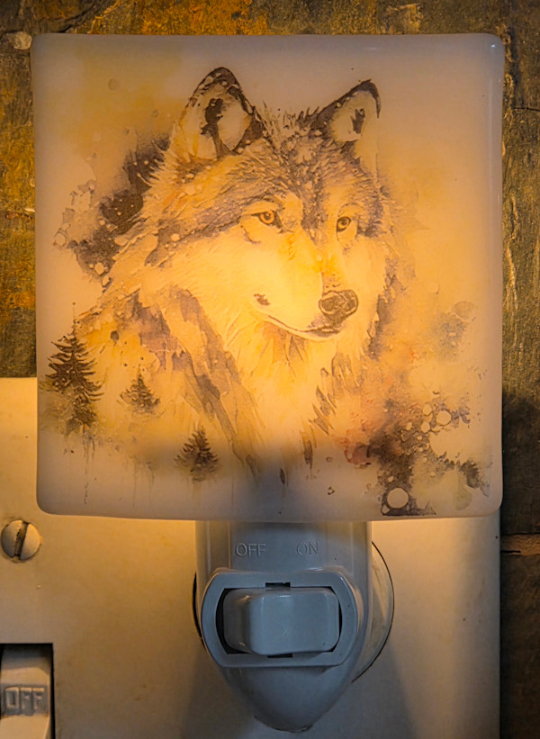 Nightlight-Wolf Head by Kathy Kollenburn