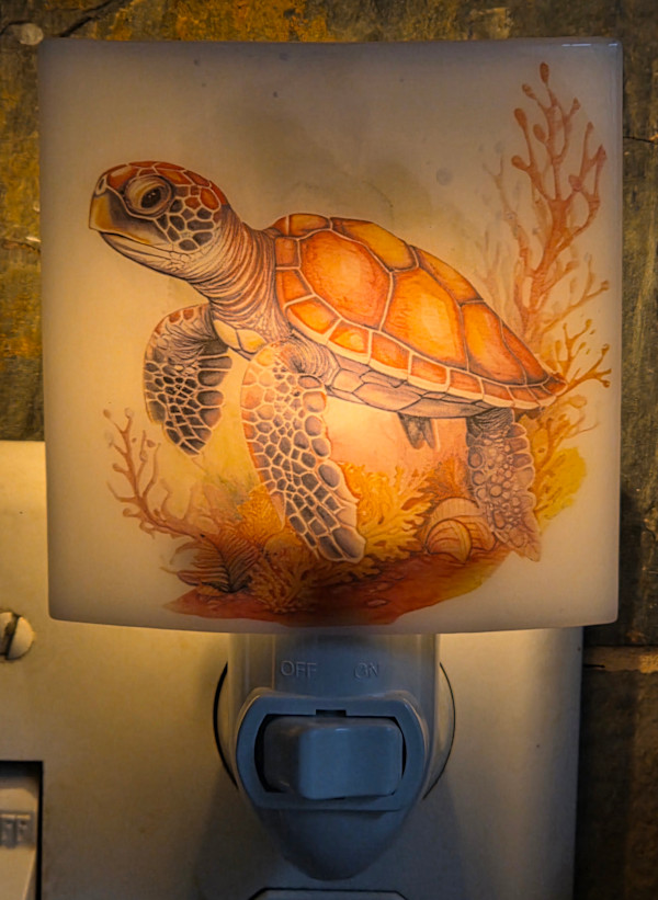 Nightlight-Sea Turtle by Kathy Kollenburn