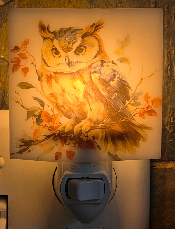 Nightlight-Owl by Kathy Kollenburn