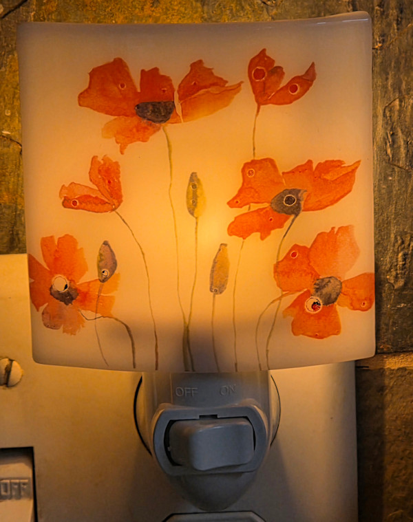 Nightlight-Poppies by Kathy Kollenburn