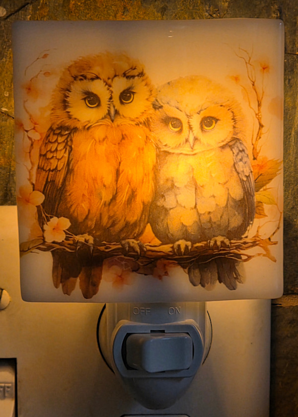 Nightlight-Pair of Owls by Kathy Kollenburn