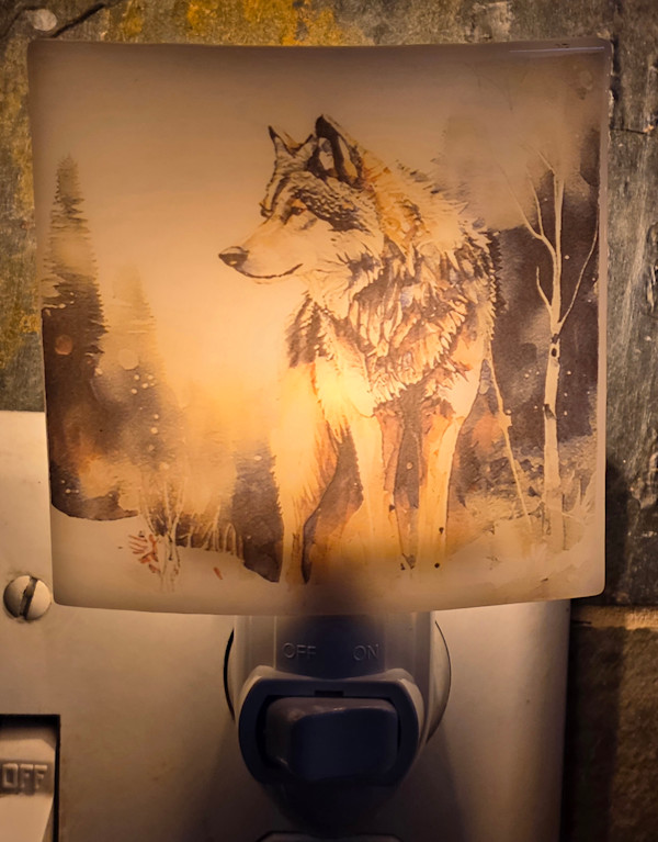Nightlight-Wolf in Forest by Kathy Kollenburn