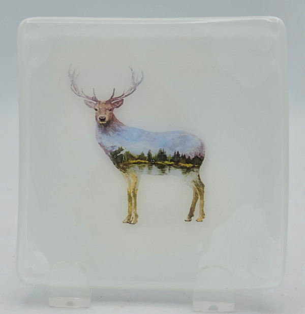 Small Plate-White with Scenic Deer by Kathy Kollenburn