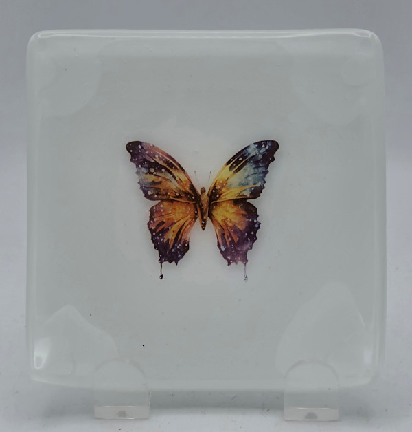 Small Plate-White with Celestial Butterfly by Kathy Kollenburn