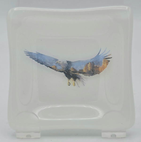 Small Dish-Scenic Eagle on White by Kathy Kollenburn