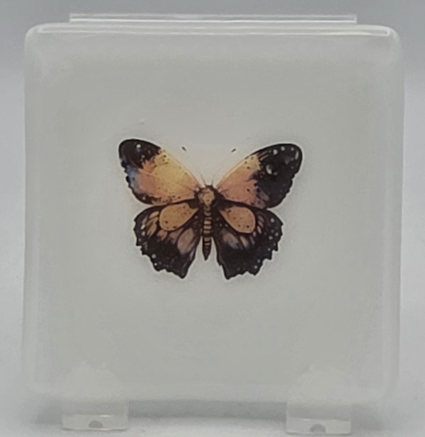 Small Plate-White with Celestial Butterfly by Kathy Kollenburn