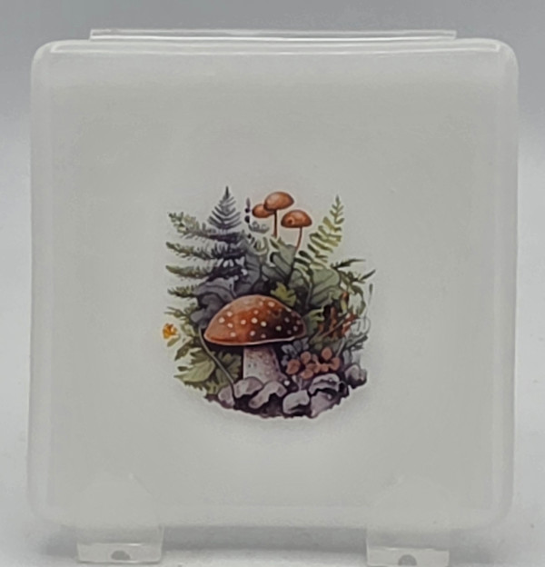 Small Plate-White with Forest Mushrooms by Kathy Kollenburn