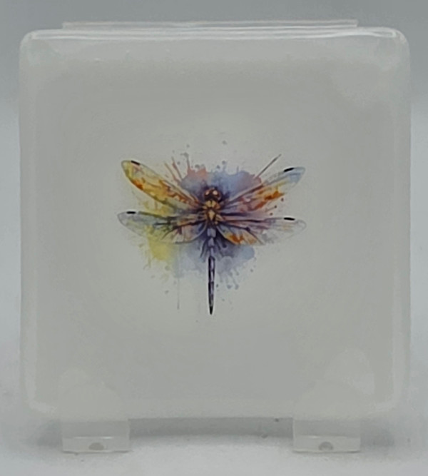 Small Plate-White with Watercolor Dragonfly by Kathy Kollenburn