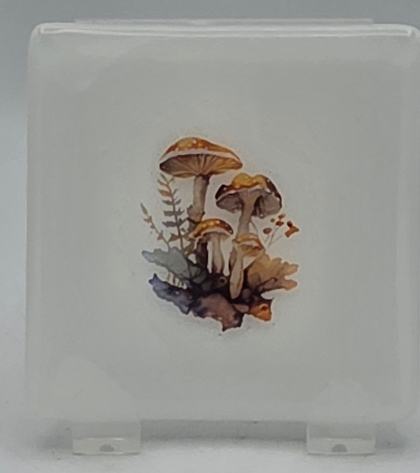 Small Plate-White with Forest Mushrooms by Kathy Kollenburn