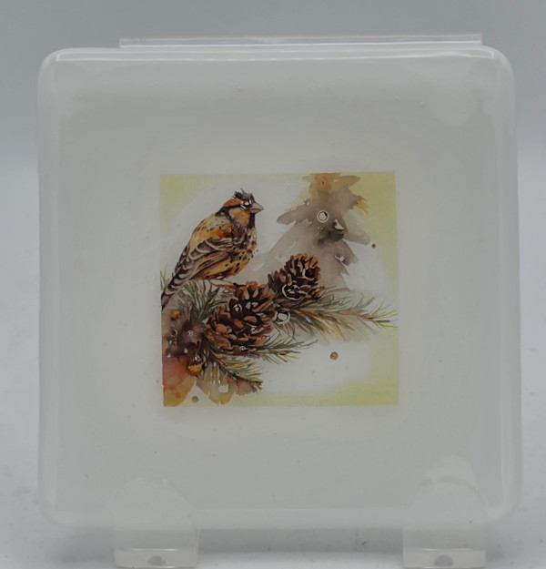 Small Plate- White with Winter Bird by Kathy Kollenburn
