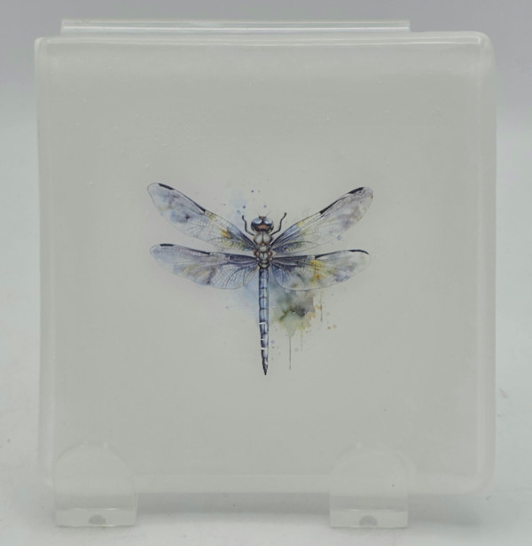 Small Plate-White with Watercolor Dragonfly by Kathy Kollenburn