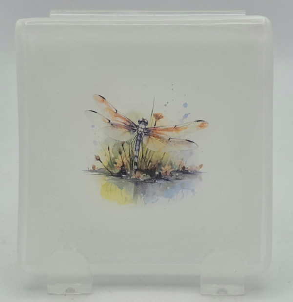 Small Plate-White with Dragonfly over Pond by Kathy Kollenburn