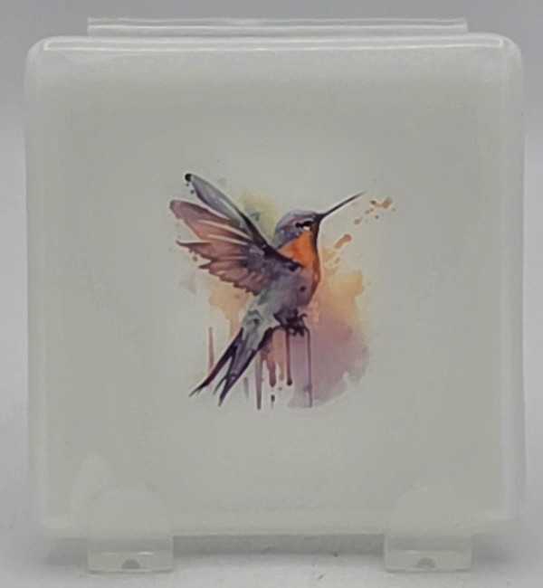 Small Plate-White with Watercolor Hummingbird by Kathy Kollenburn
