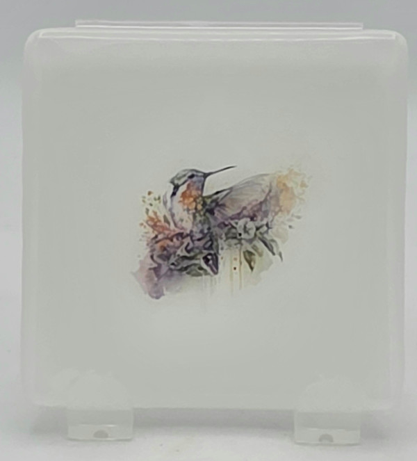 Small Plate-White with Hummingbird Among Flowers by Kathy Kollenburn