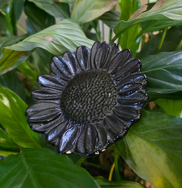 Plant Pick-Dark Blue Sunflower by Kathy Kollenburn