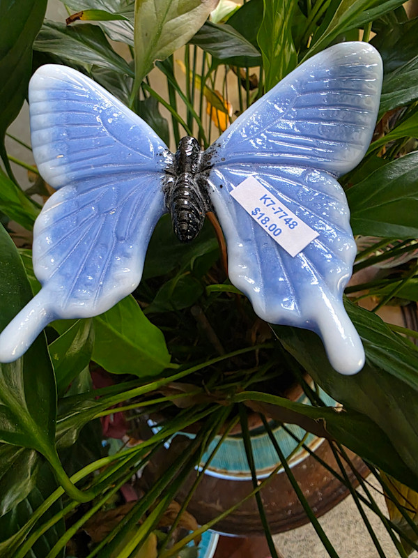 Plant Pick-Butterfly in Periwinkle and White by Kathy Kollenburn