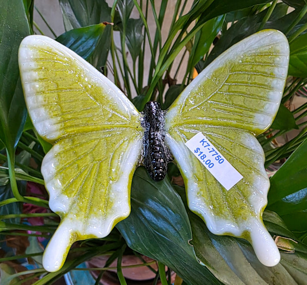 Plant Pick-Butterfly in Citronelle/White by Kathy Kollenburn
