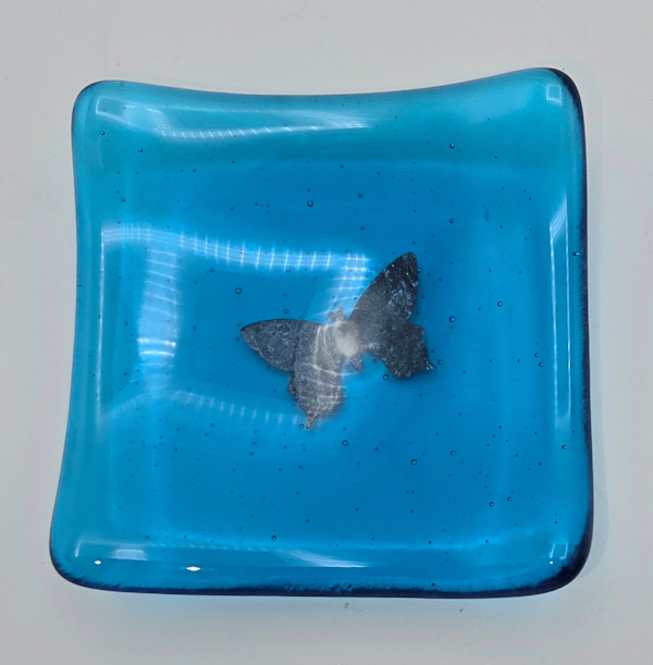 Trinket Dish-Copper Butterfly on Turquoise by Kathy Kollenburn, Image 3.