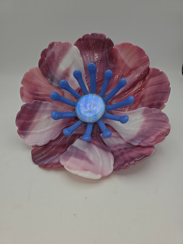 Garden Flower-Cranberry/White Streaky w/ Purple Stamens and Dichroic Center by Kathy Kollenburn, Image 1.
