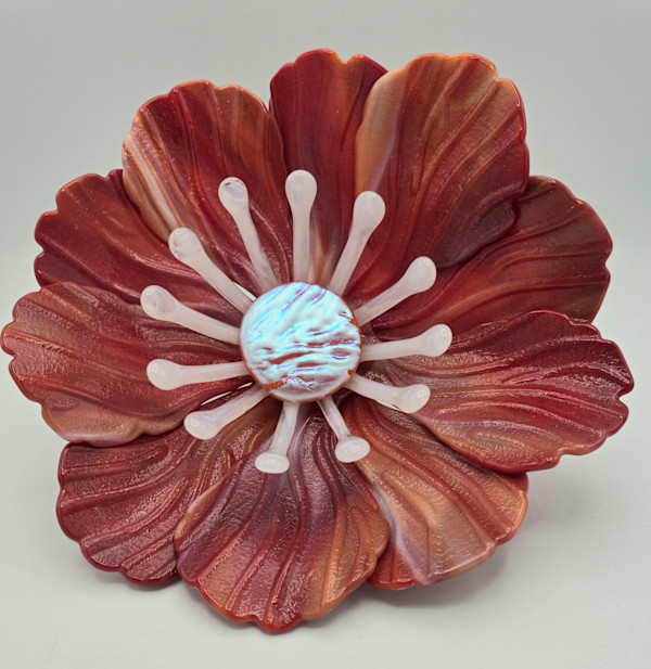 Garden Flower-Red/White Streaky with White Stamens and Dichroic Center by Kathy Kollenburn, Image 6.