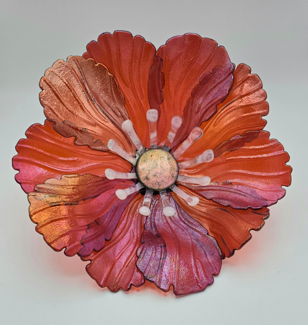 Garden Flower-Orange Irid with White Streaky Stamens and Dichroic Center by Kathy Kollenburn, Image 1.