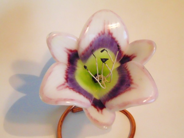 Lily-White/Purple by Kathy Kollenburn