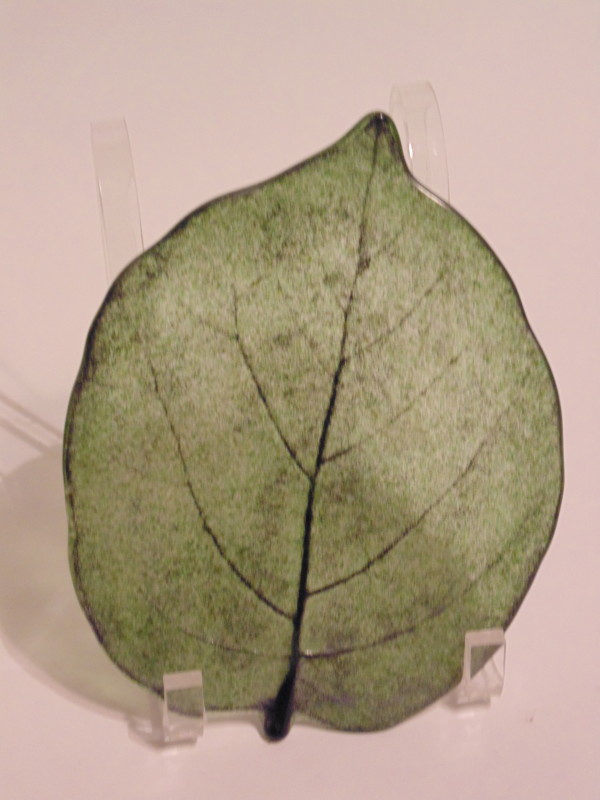 Kiwi Leaf Plate by Kathy Kollenburn