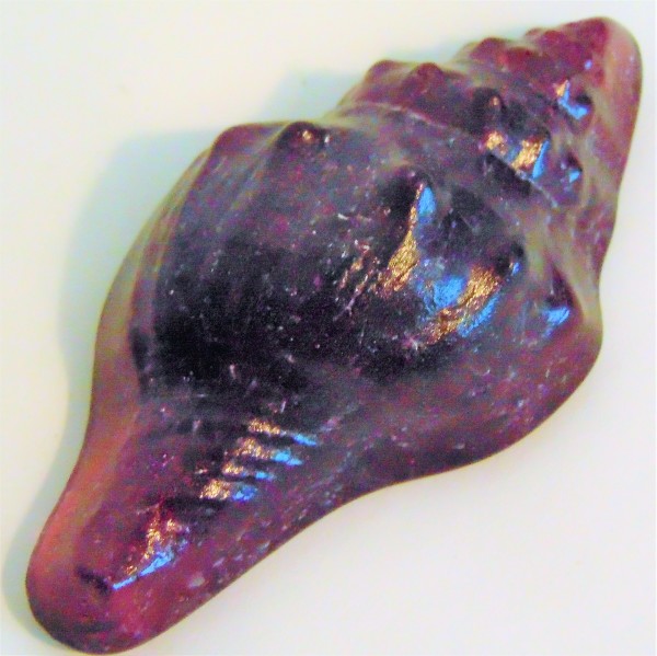 Conch Shell Casting-Purple by Kathy Kollenburn
