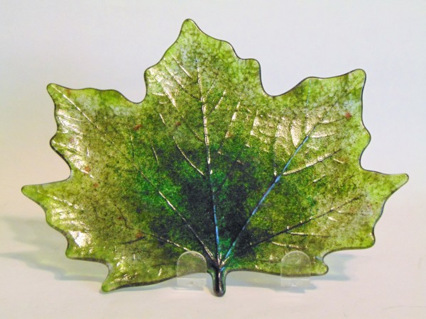 Maple Leaf-Summer Colors by Kathy Kollenburn