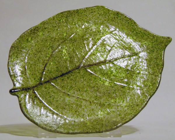 Kiwi Leaf Dish by Kathy Kollenburn