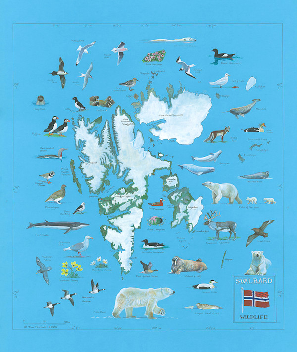 Svalbard Chart by Ian Bullock