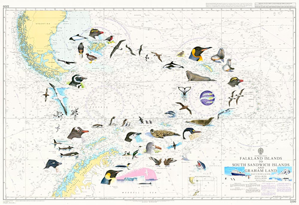 Falklands Chart by Ian Bullock