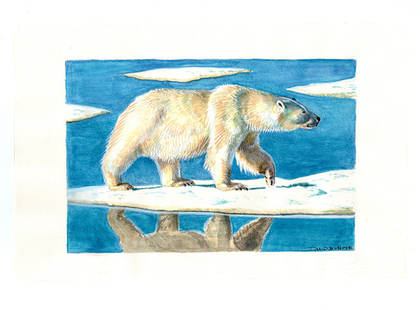Polar Bear by Ian Bullock