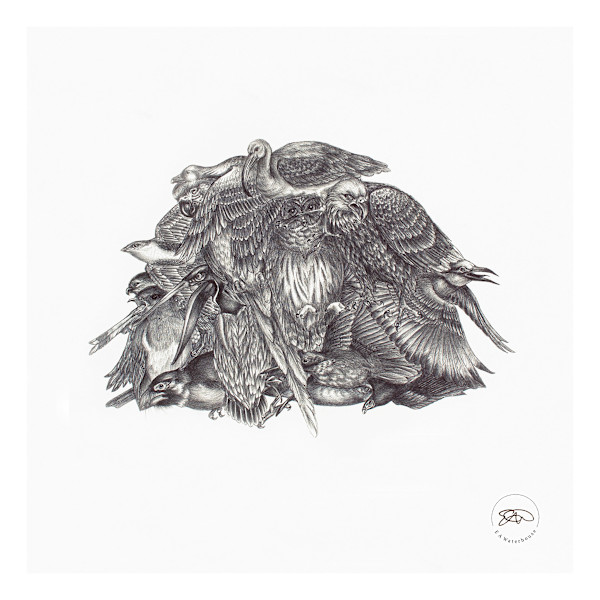 Heap of Birds by Liz Waterhouse