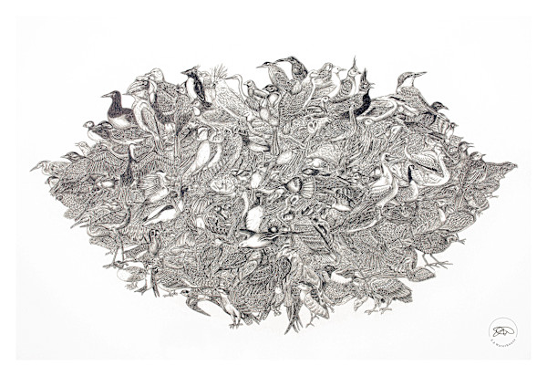 Birds of a Feather by Liz Waterhouse