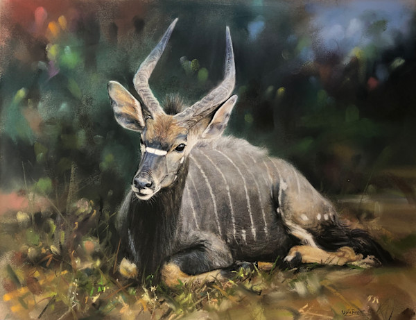 Nyala Bull by Richard RensonWise